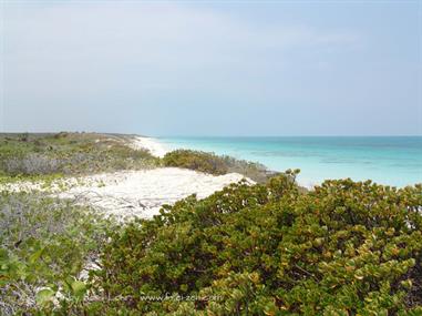 2004 Cuba, Cayo Ensenachos, DSC00849 B_B720